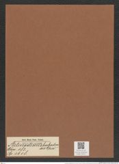 Actinodiscus barbadensis Grev. (de-Toni-Nr.: Genus 183, Species 4708) Zeichnungen Sammlung Grunow Mappe 04511 (Herbarium_W_Grunow_drawings_Folder_04511)